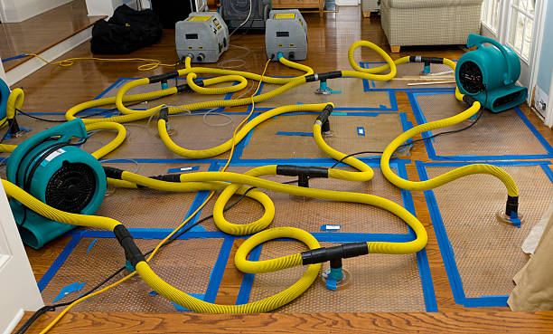 Professional Water Damage Restoration technician working in Benson, UT